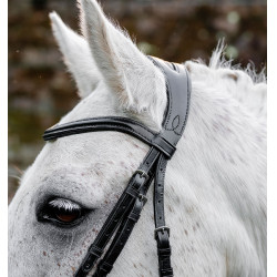 Bridon poney d’équitation Horseware Flash en cuir