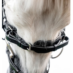 Bridon poney d’équitation Horseware Flash en cuir