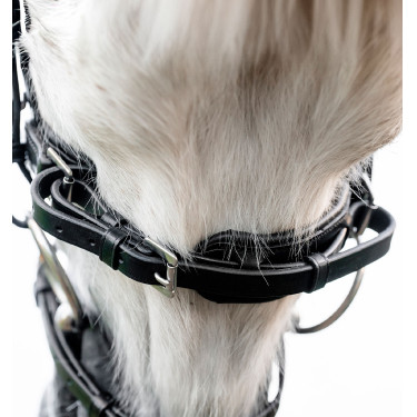 Bridon poney d’équitation Horseware Flash en cuir