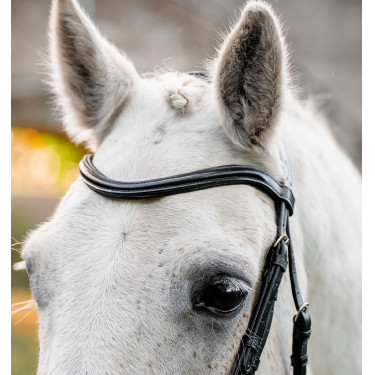 Bridon poney d’équitation Horseware Flash en cuir