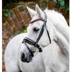 Bridon poney Horseware Diamante Flash Noir / rose