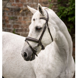 Bridon poney Horseware Cavesson Marron