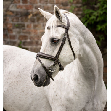 Bridon poney Horseware Cavesson Marron