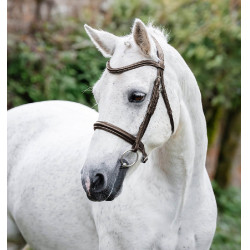 Bridon d’équitation poney Horseware Cavesson – cuir confort