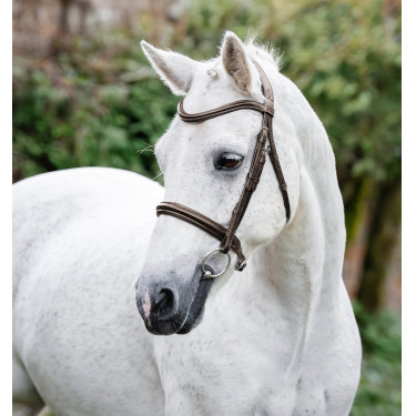 Bridon d’équitation poney Horseware Cavesson – cuir confort