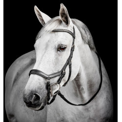 Bridon d’équitation anatomique Micklem Diamante – Horseware
