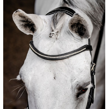 Bridon d’équitation anatomique Micklem Diamante – Horseware