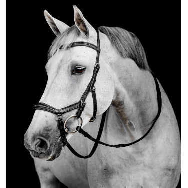 Bridon Horseware Micklem Deluxe Competition Noir