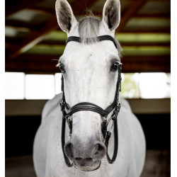 Bridon Horseware Micklem Deluxe Competition Noir