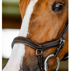 Bridon d’équitation anatomique Horseware Micklem FEI Bridon d’équitation anatomique Horseware Micklem FEI