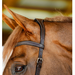 Bridon d’équitation anatomique Horseware Micklem FEI Bridon d’équitation anatomique Horseware Micklem FEI