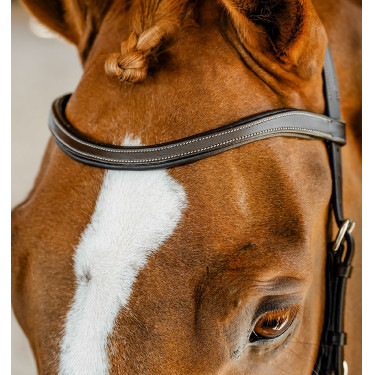 Bridon d’équitation anatomique Horseware Micklem FEI Bridon d’équitation anatomique Horseware Micklem FEI