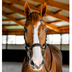 Bridon d’équitation anatomique Horseware Micklem FEI Bridon d’équitation anatomique Horseware Micklem FEI