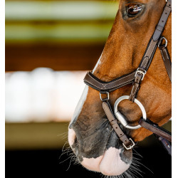 Bridon d’équitation anatomique Horseware Micklem FEI Bridon d’équitation anatomique Horseware Micklem FEI