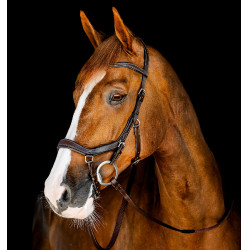 Bridon d’équitation anatomique Horseware Micklem FEI Bridon d’équitation anatomique Horseware Micklem FEI