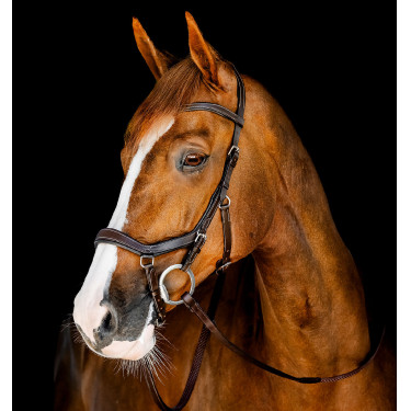 Bridon d’équitation anatomique Horseware Micklem FEI Bridon d’équitation anatomique Horseware Micklem FEI