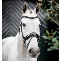 Bridon Horseware Diamante Flash Noir / noir