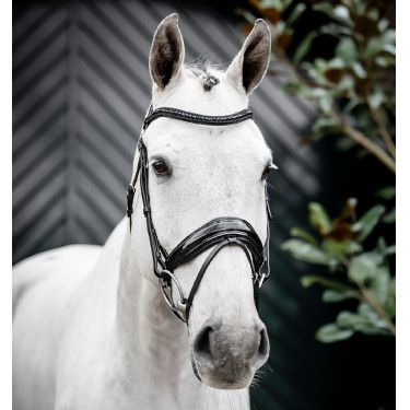Bridon Horseware Diamante Flash Noir / noir