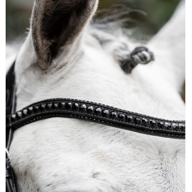 Bridon Horseware Diamante Flash Noir / noir