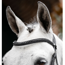 Bridon Horseware Diamante Flash Noir / noir