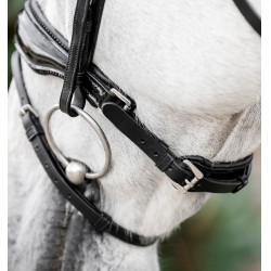 Bridon Horseware Diamante Flash Noir / noir