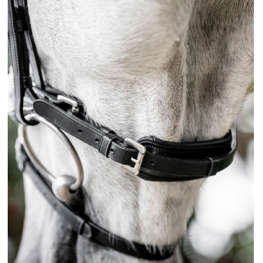 Bridon Horseware Diamante Flash Noir / argent