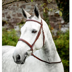 Bridon d’équitation Hunter en cuir avec rênes | Horseware