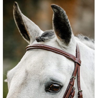 Bridon d’équitation Hunter en cuir avec rênes | Horseware