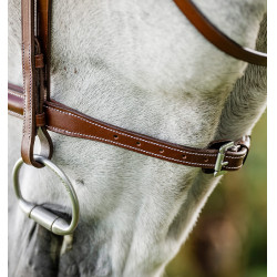 Bridon d’équitation Hunter en cuir avec rênes | Horseware