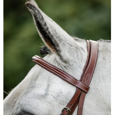 Bridon d’équitation Hunter en cuir avec rênes | Horseware