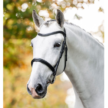 Bridon Horseware Cavesson Noir
