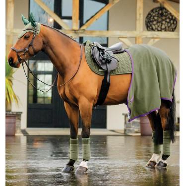 Tapis de selle Close Contact Amigo Horseware Bramble Vert