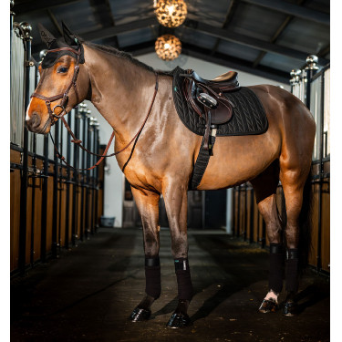 Tapis de selle Close Contact Amigo Horseware Noir Tapis de selle Close Contact Amigo Horseware Noir