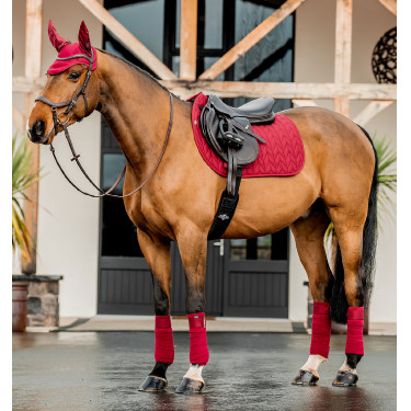 Tapis d’équitation Close Contact Amigo Horseware