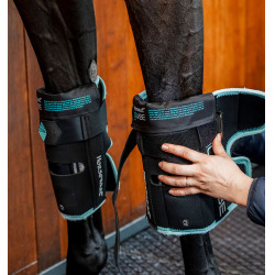 Protège-genoux Horseware Ice-Vibe Noir / aqua Bleu