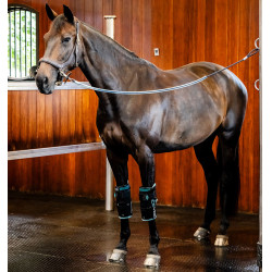 Protège-genoux Horseware Ice-Vibe Noir / aqua Bleu