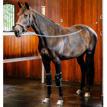 Protège-genoux Horseware Ice-Vibe Noir / aqua Bleu