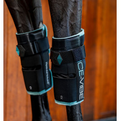 Protège-genoux Horseware Ice-Vibe Noir / aqua Bleu