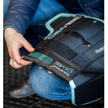 Protège-genoux Horseware Ice-Vibe Noir / aqua Bleu