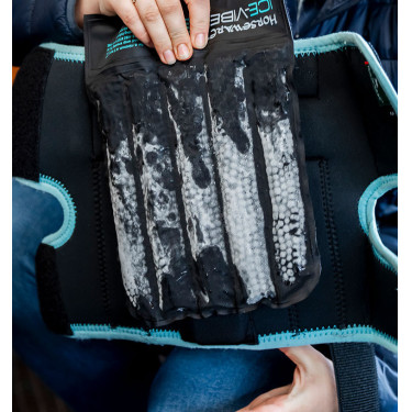 Protège-genoux Horseware Ice-Vibe Noir / aqua Bleu