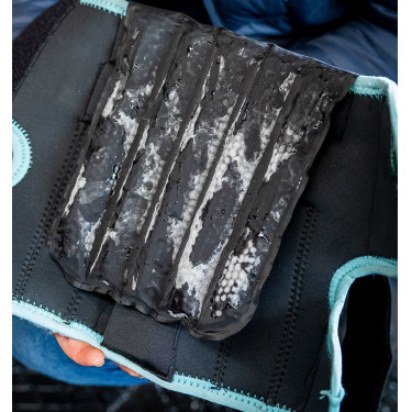 Protège-genoux Horseware Ice-Vibe Noir / aqua Bleu