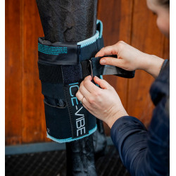 Protège-genoux Horseware Ice-Vibe Noir / aqua Bleu