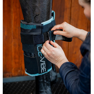 Protège-genoux Horseware Ice-Vibe Noir / aqua Bleu