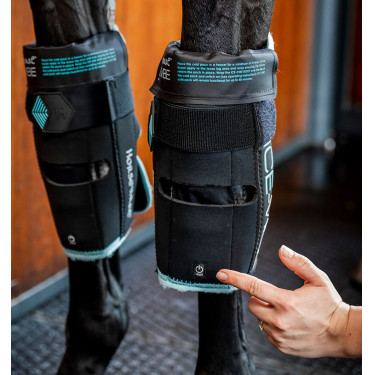 Protège-genoux Horseware Ice-Vibe Noir / aqua Bleu