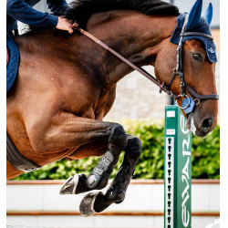 Guêtres d’équitation Horseware Classic – tendon/canon