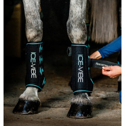 Guêtres Horseware Ice-Vibe Noir / aqua Bleu Guêtres Horseware Ice-Vibe Noir / aqua Bleu