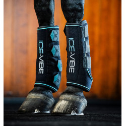 Guêtres Horseware Ice-Vibe Noir / aqua Bleu Guêtres Horseware Ice-Vibe Noir / aqua Bleu