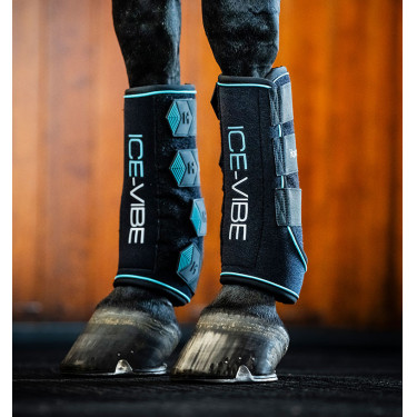 Guêtres Horseware Ice-Vibe Noir / aqua Bleu Guêtres Horseware Ice-Vibe Noir / aqua Bleu