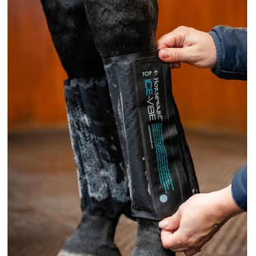 Guêtres Horseware Ice-Vibe Noir / aqua Bleu Guêtres Horseware Ice-Vibe Noir / aqua Bleu