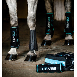 Guêtres Horseware Ice-Vibe Noir / aqua Bleu Guêtres Horseware Ice-Vibe Noir / aqua Bleu